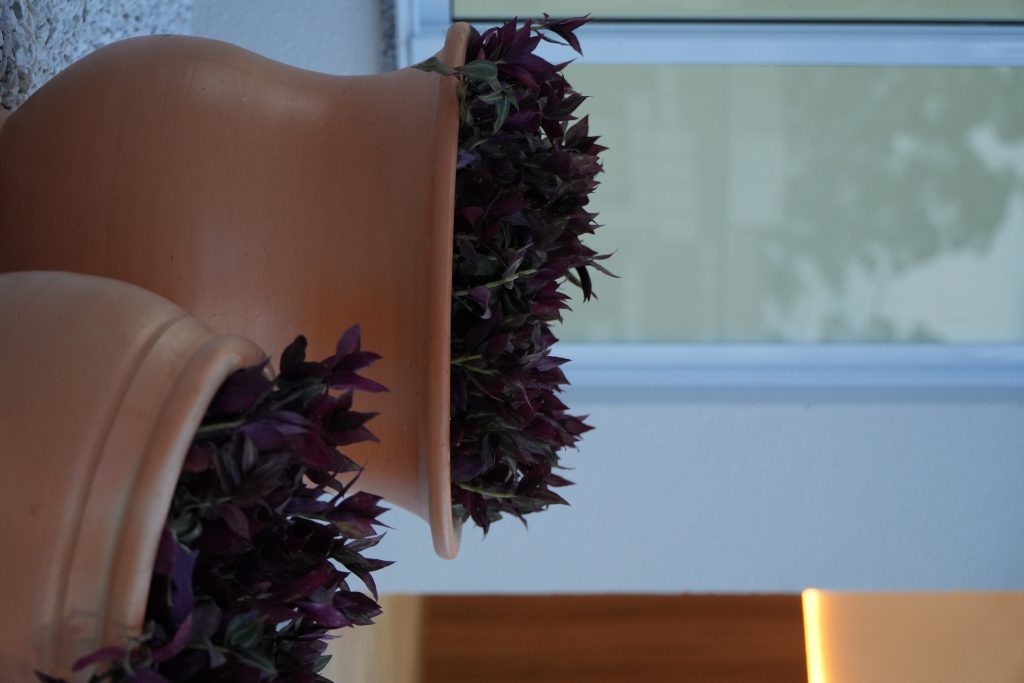 Residencial Dona Assunta